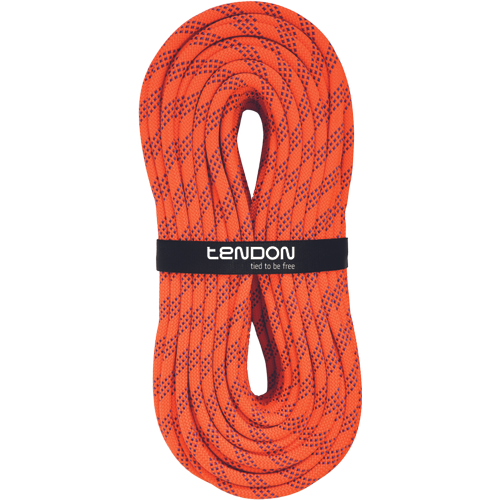 TENDON eStatic;11