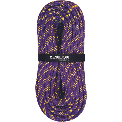 TENDON eStatic;11